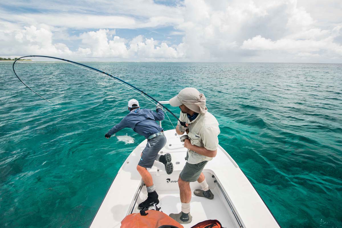 Giant-Trevally-Alphonse-Fishing-Company