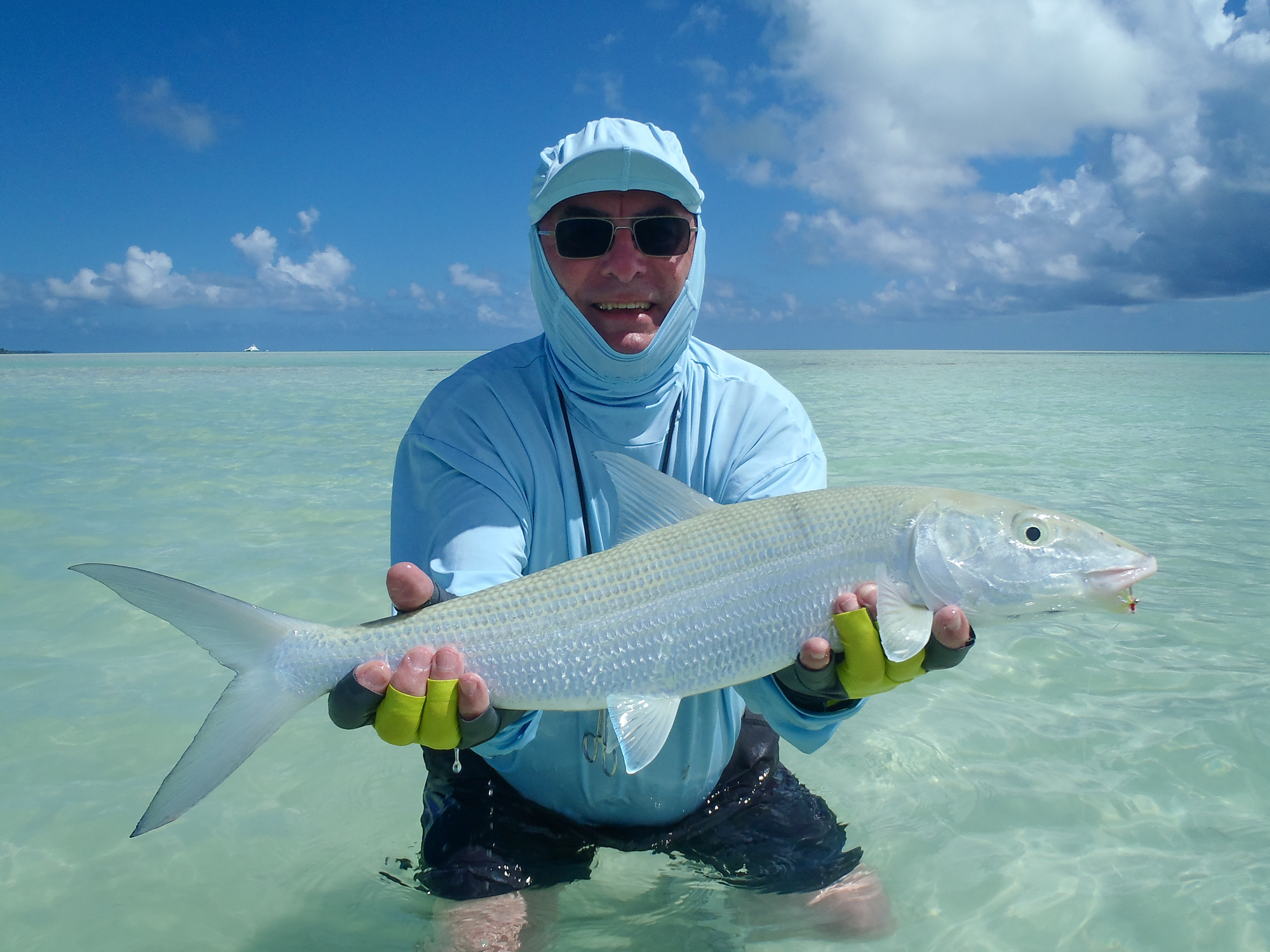 How to tell the difference between a shoal of Bonefish and a shoal of ...