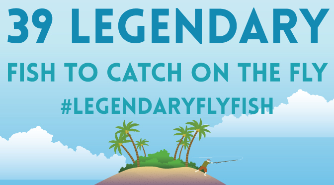 39 Best fish to catch on a fly around the world - Infographic by AFC
