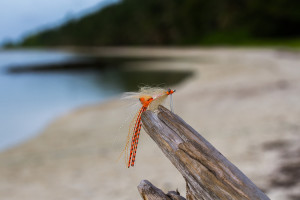 The Best Flies to Land Bonefish - Alphonse Fishing Co.