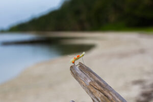 best-flies-for-permit-jamses-sand-prawn