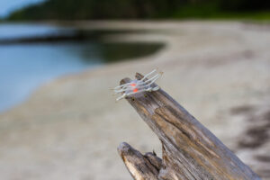 best-permit-flies-alphlexo-crab