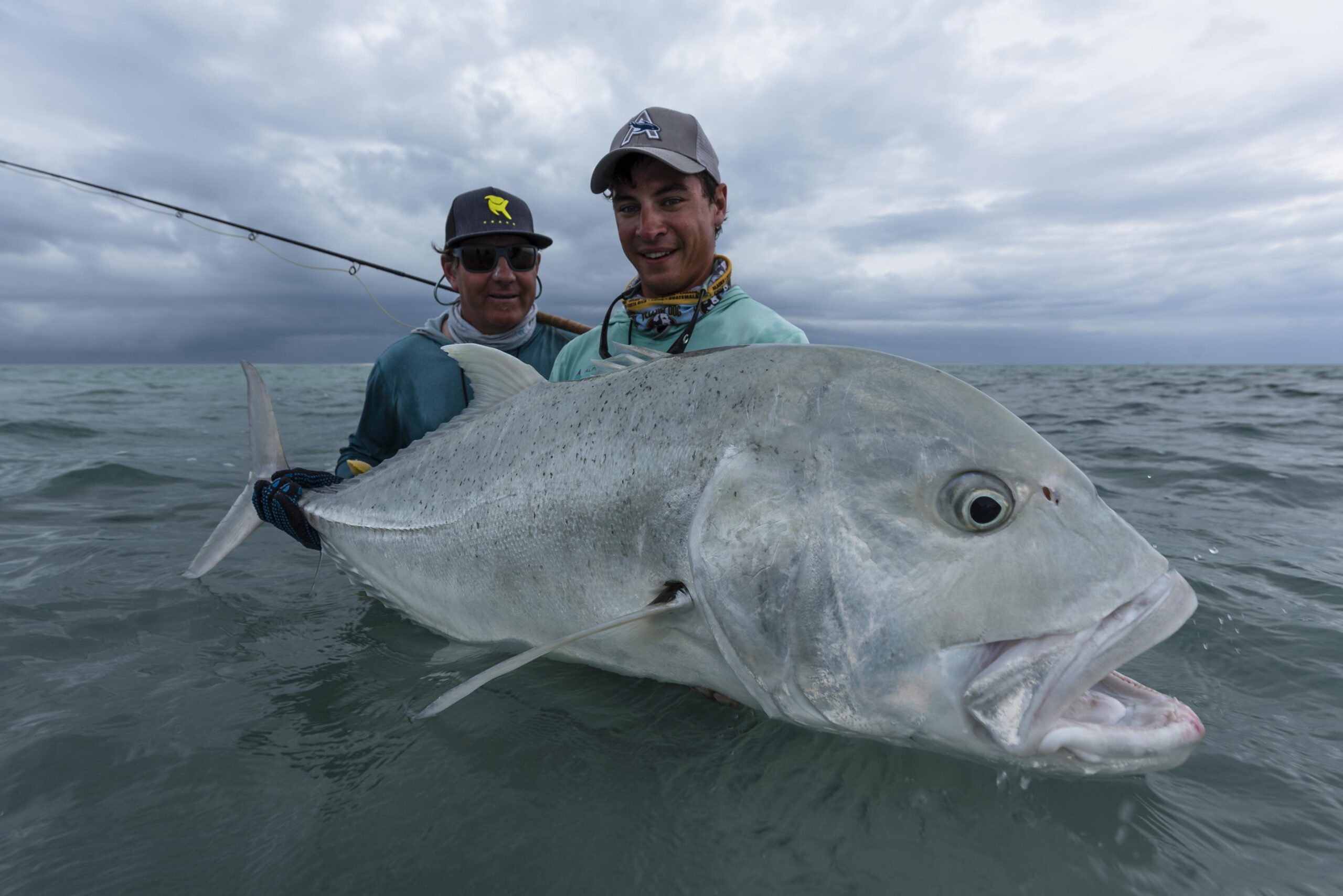 Alphonse Island Fishing News - 105 cm GT brought to Hand!