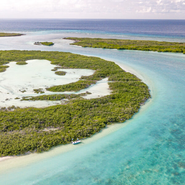 Astove Atoll - Seychelles - Unrivalled (Saltwater) Fly Fishing