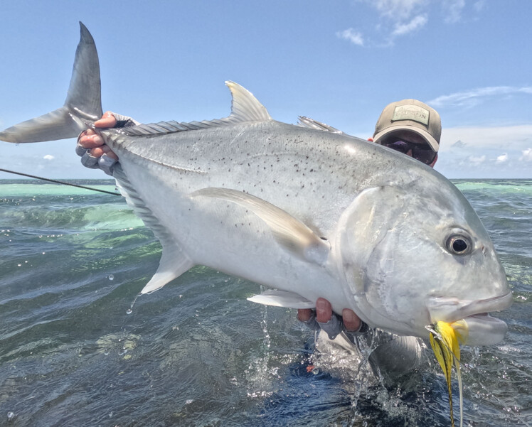 Georgia Fishing Report: February 24, 2023 – Georgia Wildlife Blog
