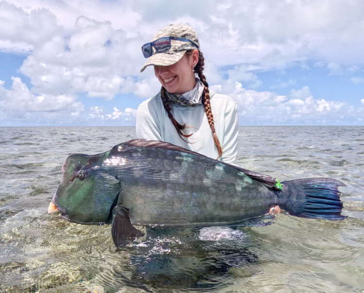 Seychelles Farquhar Atoll Bumphead parrotfish fly fishing