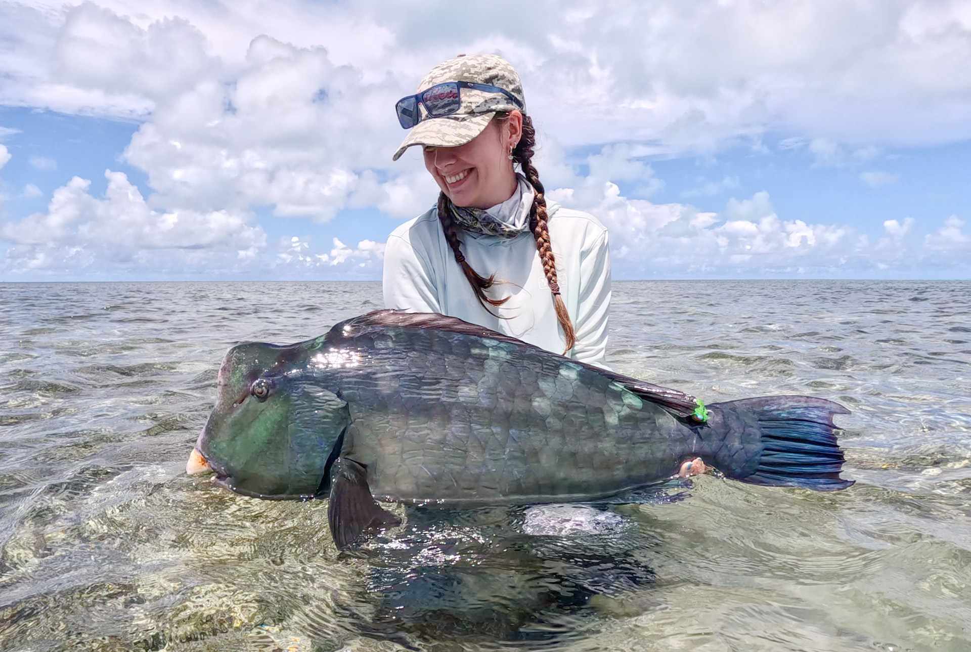 Seychelles Farquhar Atoll Bumphead parrotfish fly fishing