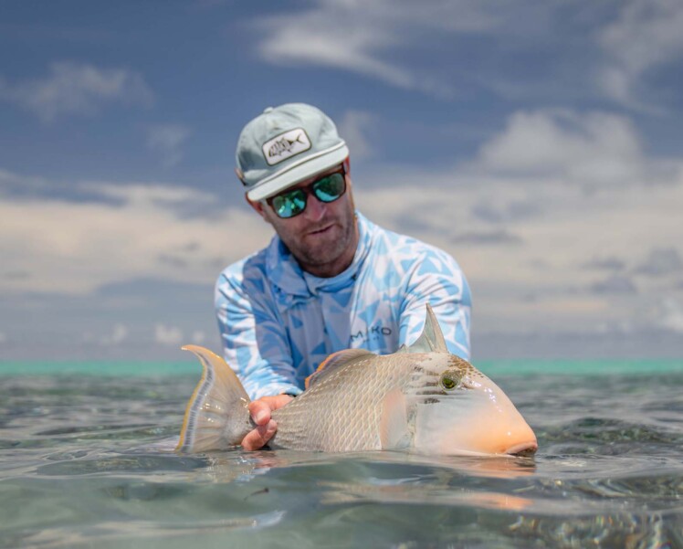 Seychelles Alphonse island triggerfish fly fishing