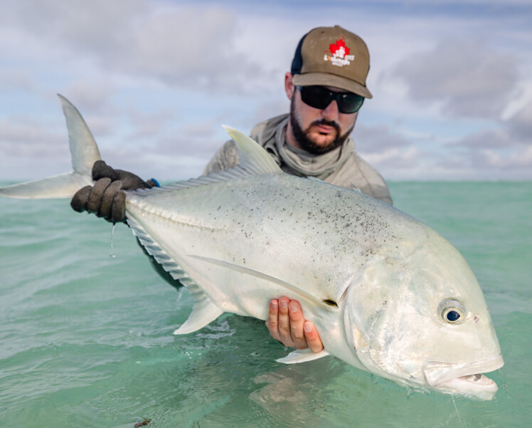 Seychelles Alphonse Island Giant Trevally fly fishing